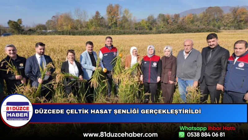 Düzcede Çeltik Hasat Şenliği Gerçekleştirildi