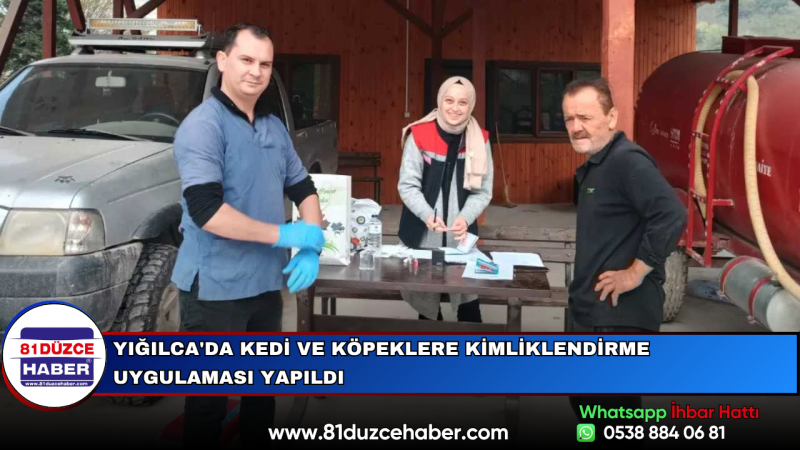 Yığılca'da Kedi ve Köpeklere Kimliklendirme Uygulaması Yapıldı