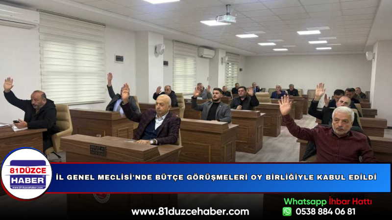 İl Genel Meclisi'nde Bütçe Görüşmeleri Oy Birliğiyle Kabul Edildi