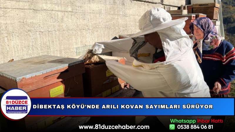Dibektaş Köyü’nde Arılı Kovan Sayımları Sürüyor