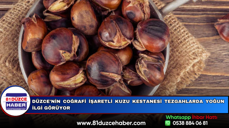 Düzce'nin Coğrafi İşaretli Kuzu Kestanesi Tezgahlarda Yoğun İlgi Görüyor