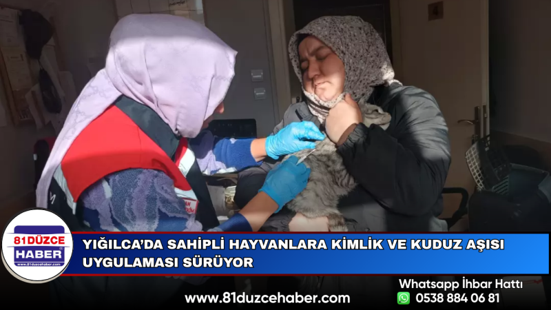 Yığılca’da Sahipli Hayvanlara Kimlik ve Kuduz Aşısı Uygulaması Sürüyor