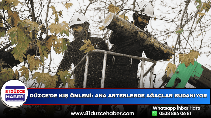 Düzce’de Kış Önlemi: Ana Arterlerde Ağaçlar Budanıyor
