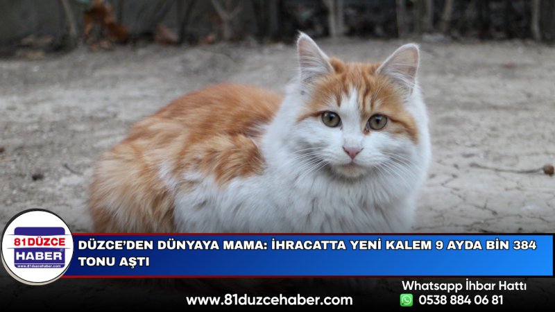 Düzce’den Dünyaya Mama: İhracatta Yeni Kalem 9 Ayda Bin 384 Tonu Aştı