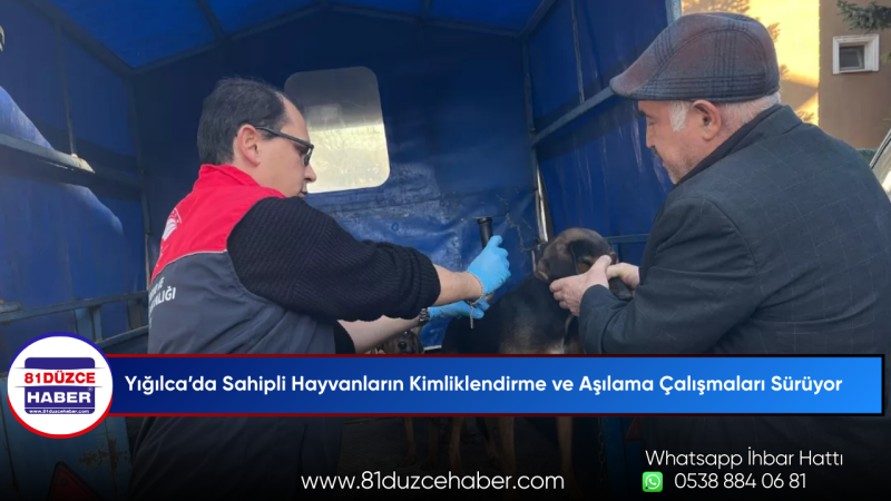 Yığılca’da Sahipli Hayvanların Kimliklendirme ve Aşılama Çalışmaları Sürüyor