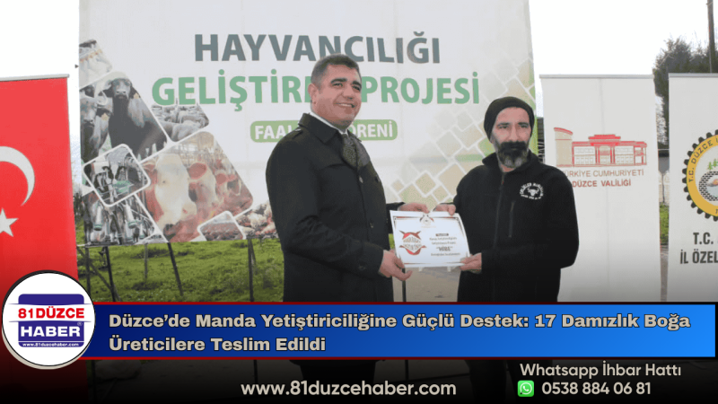 Düzce’de Manda Yetiştiriciliğine Güçlü Destek: 17 Damızlık Boğa Üreticilere Teslim Edildi
