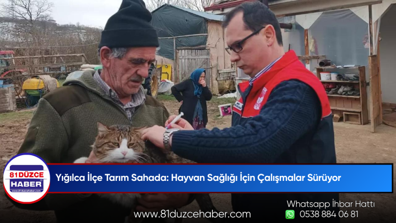 Yığılca İlçe Tarım Sahada: Hayvan Sağlığı İçin Çalışmalar Sürüyor