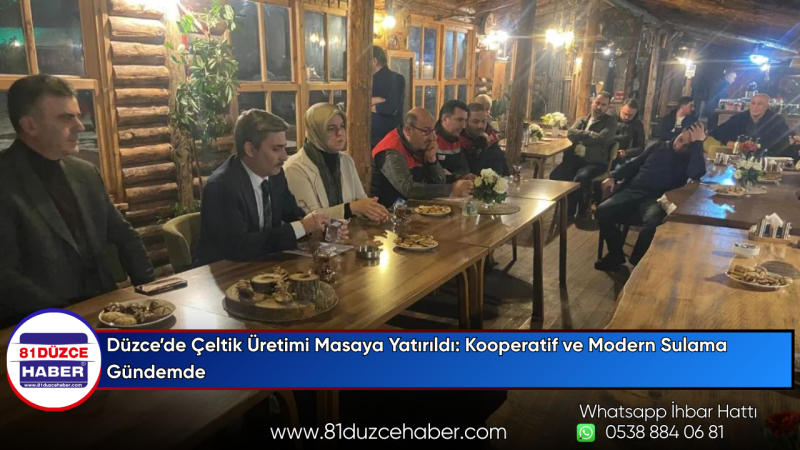 Düzce’de Çeltik Üretimi Masaya Yatırıldı: Kooperatif ve Modern Sulama Gündemde