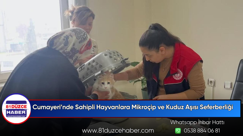 Cumayeri’nde Sahipli Hayvanlara Mikroçip ve Kuduz Aşısı Seferberliği