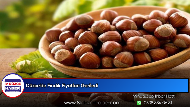 Düzce’de Fındık Fiyatları Geriledi