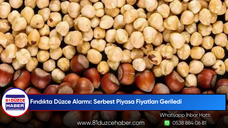 Fındıkta Düzce Alarmı: Serbest Piyasa Fiyatları Geriledi