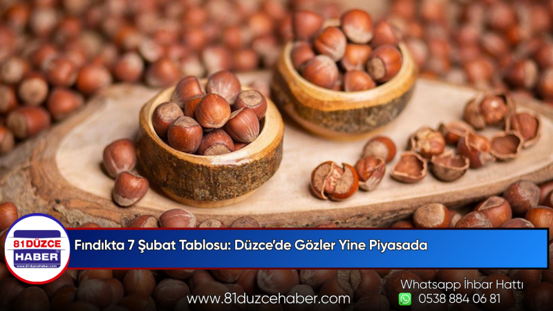 Fındıkta 7 Şubat Tablosu: Düzce’de Gözler Yine Piyasada