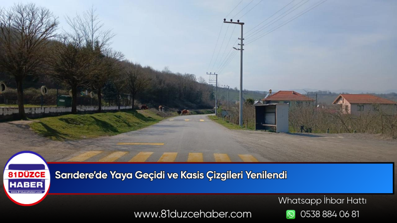 Sarıdere’de Yaya Geçidi ve Kasis Çizgileri Yenilendi