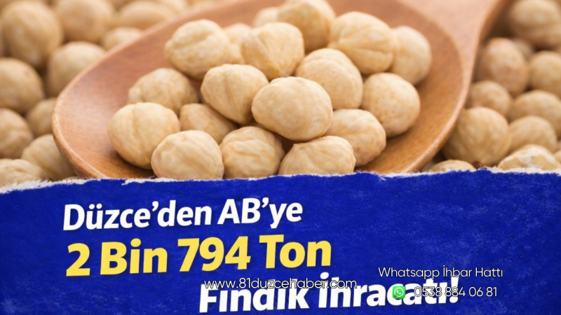 Düzce’den AB’ye 2 Bin 794 Ton Fındık İhracatı