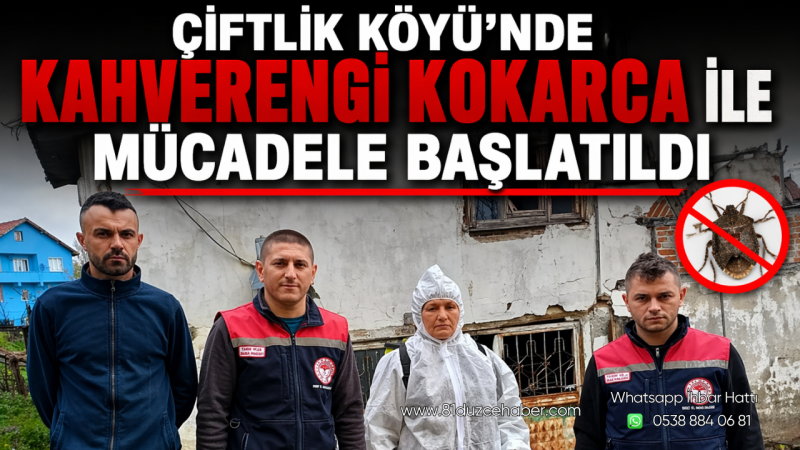 Çiftlik Köyü’nde Kahverengi Kokarca ile Mücadele Başlatıldı