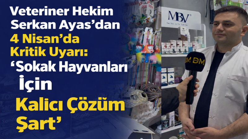 Veteriner Hekim Serkan Ayas’dan 4 Nisan’da Kritik Uyarı: “Sokak Hayvanları İçin Kalıcı Çözüm Şart”