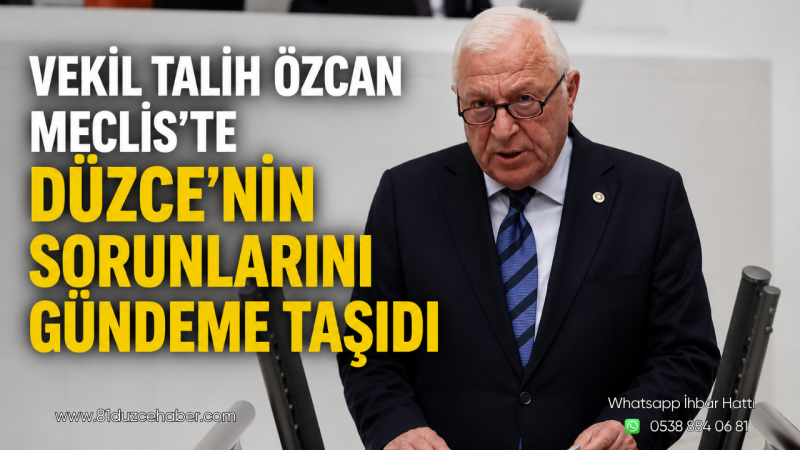Vekil Talih Özcan Meclis’te Düzce’nin Sorunlarını Gündeme Taşıdı
