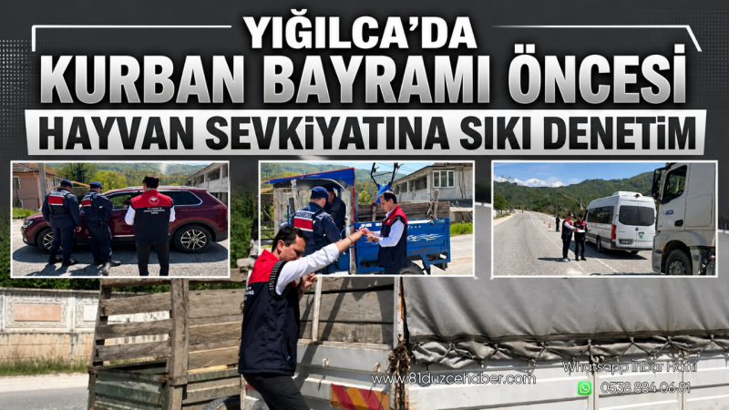 Yığılca’da Kurban Bayramı Öncesi Hayvan Sevkiyatına Sıkı Denetim