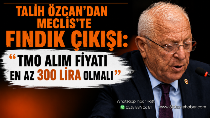 Talih Özcan’dan Meclis’te Fındık Çıkışı: “TMO Alım Fiyatı En Az 300 Lira Olmalı”