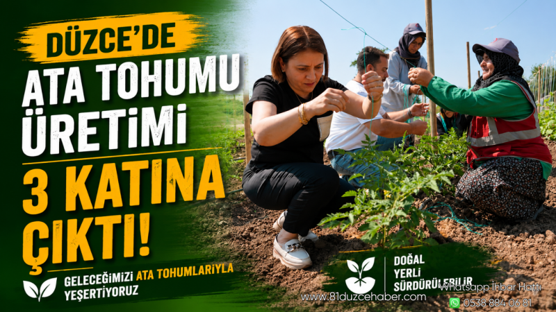 Düzce’de Ata Tohumu Üretimi 3 Katına Çıktı