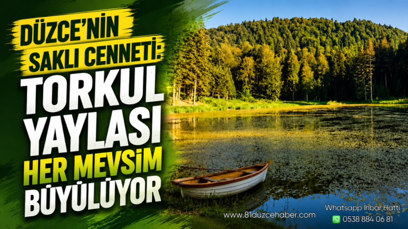 Düzce'nin Saklı Cenneti: Torkul Yaylası Her Mevsim Büyülüyor