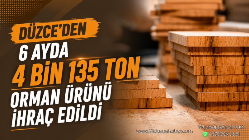 Düzce'den 6 Ayda 4 Bin 135 Ton Orman Ürünü İhraç Edildi