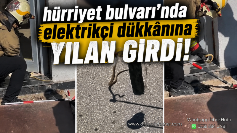 Hürriyet Bulvarı'nda Elektrikçi Dükkânına Yılan Girdi
