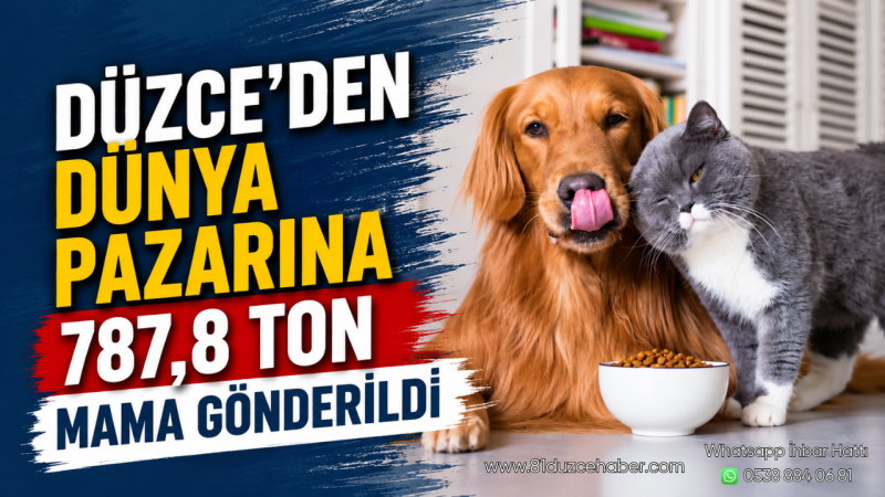 Düzce'den Dünya Pazarına 787,8 Ton Mama Gönderildi