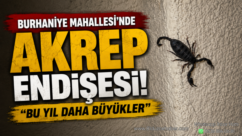 Burhaniye Mahallesi'nde Akrep Endişesi: 