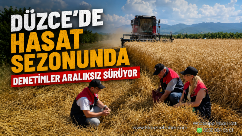 Düzce'de Hasat Sezonunda Denetimler Aralıksız Sürüyor