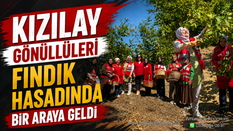 Kızılay Gönüllüleri Fındık Hasadında Bir Araya Geldi