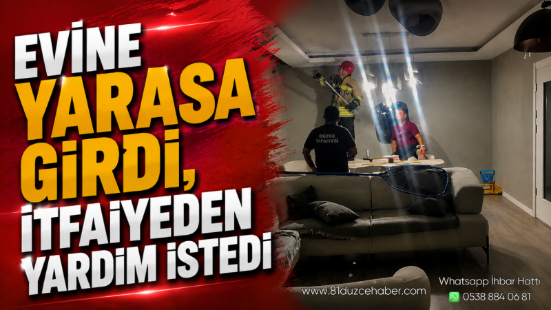 Evine Yarasa Girdi, İtfaiyeden Yardım İstedi