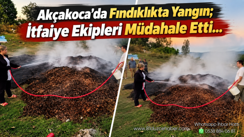 Akçakoca’da Fındıklıkta Yangın; İtfaiye Ekipleri Müdahale Etti