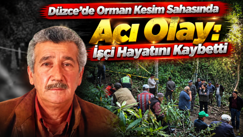 Düzce’de Orman Kesim Sahasında Acı Olay: İşçi Hayatını Kaybetti